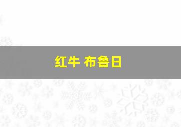 红牛 布鲁日